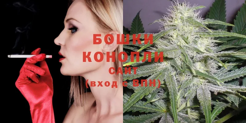 MEGA   Беломорск  Конопля White Widow 